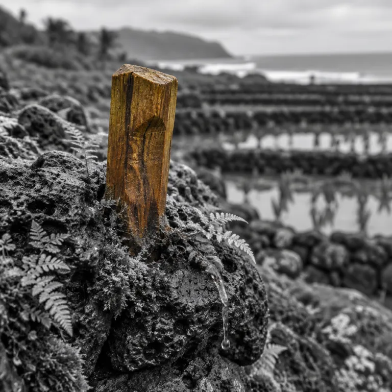 Ahupuaa: the ancient land system that still explains how Kauai works