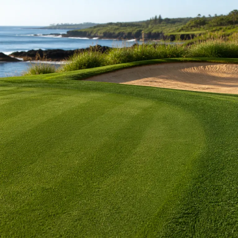 Kauai's golf courses coast to coast: from Kukuiolono's seven-dollar greens to Princeville's championship tees